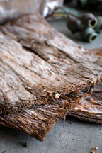 Paperbark