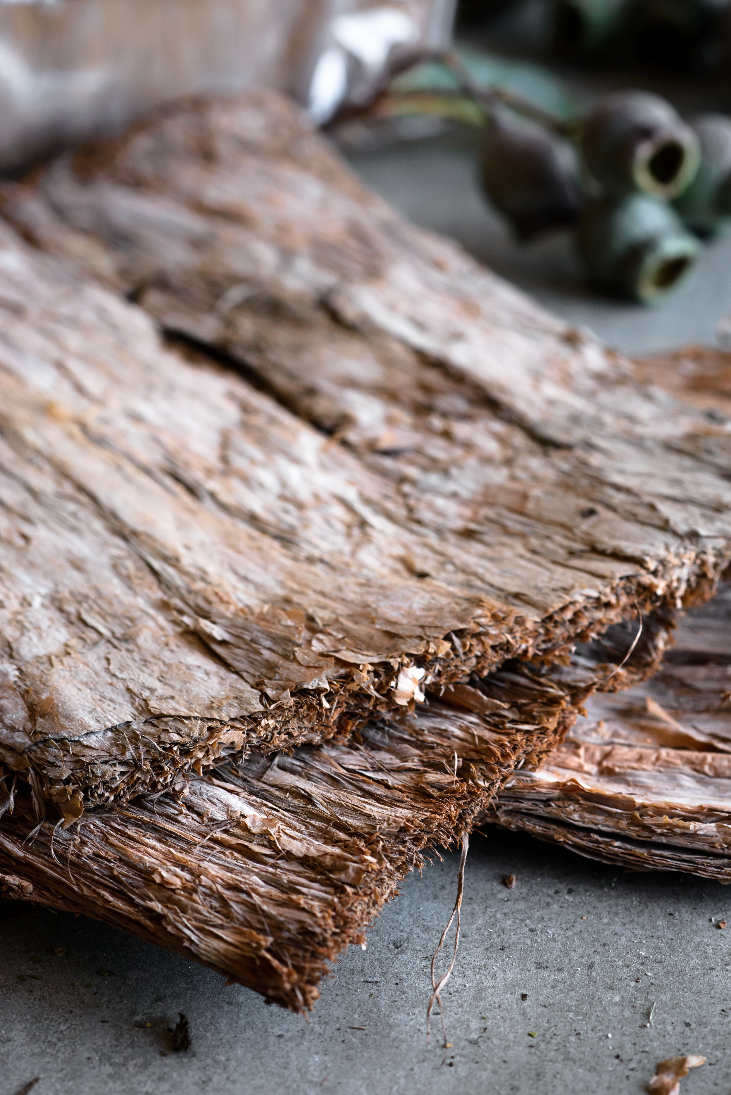 Paperbark